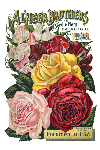 IOD Furniture Transfer " SEED CATALOGUE"