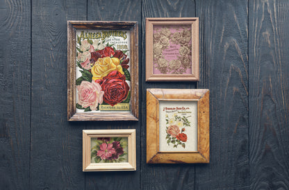IOD Furniture Transfer " SEED CATALOGUE"