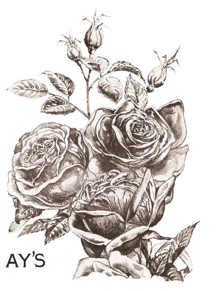 IOD Transfer "MAY'S ROSE'S"