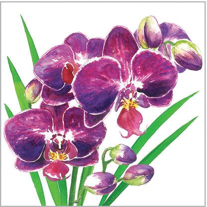 Designer Napkin-Orchidea