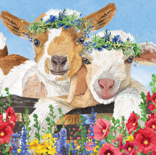 Designer Napkin-Gary & Gracie