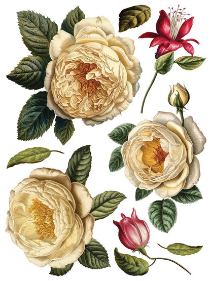IOD Furniture Transfer-Collage de Fleurs