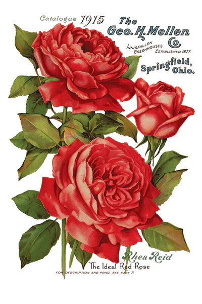 IOD "EPHEMERAL MELANGE" 8 full sheets.