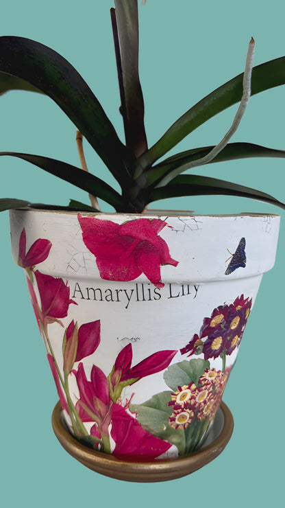 Napkin Tissue-Amaryllis Lily
