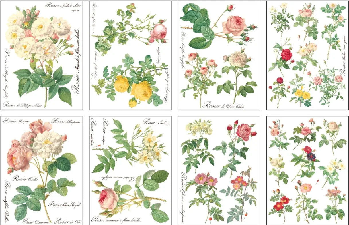 IOD Furniture Transfer-Rose Botanicals