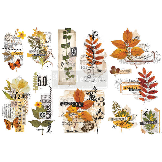 Redesign Furniture transfer-Foliage Collector-Small 3 sheets