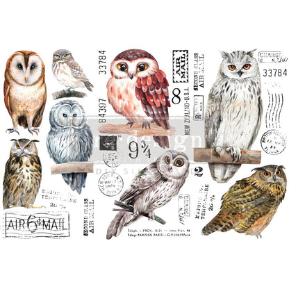 Redesign Decor transfer Owl-Small