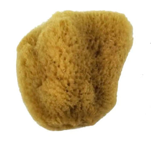 Royal Silk Sponge.