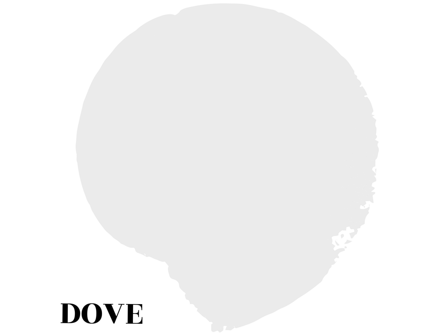 Mineral Paint-Dove Testpot