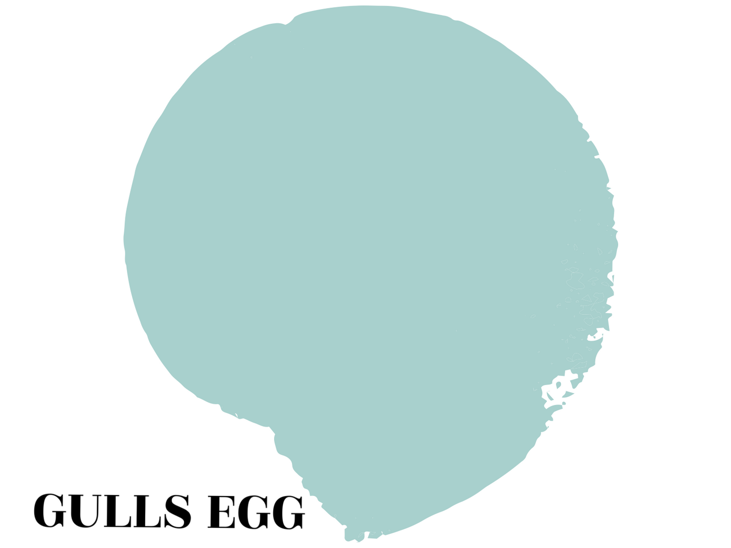 Mineral Paint-Gulls Egg