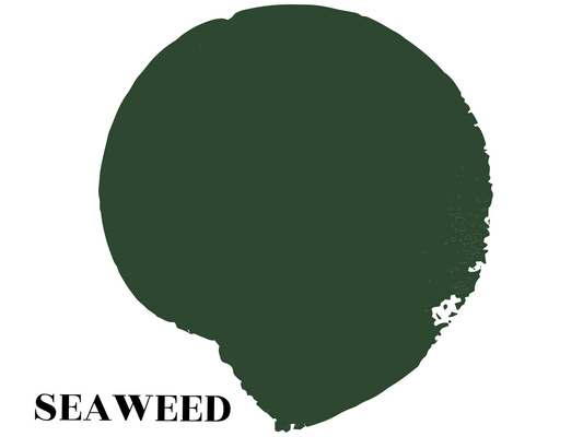 Mineral Paint-Seaweed TESTPOT