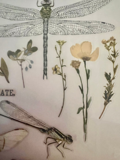 Redesign Decor transfer-Spring Dragonfly-Small 3 sheets