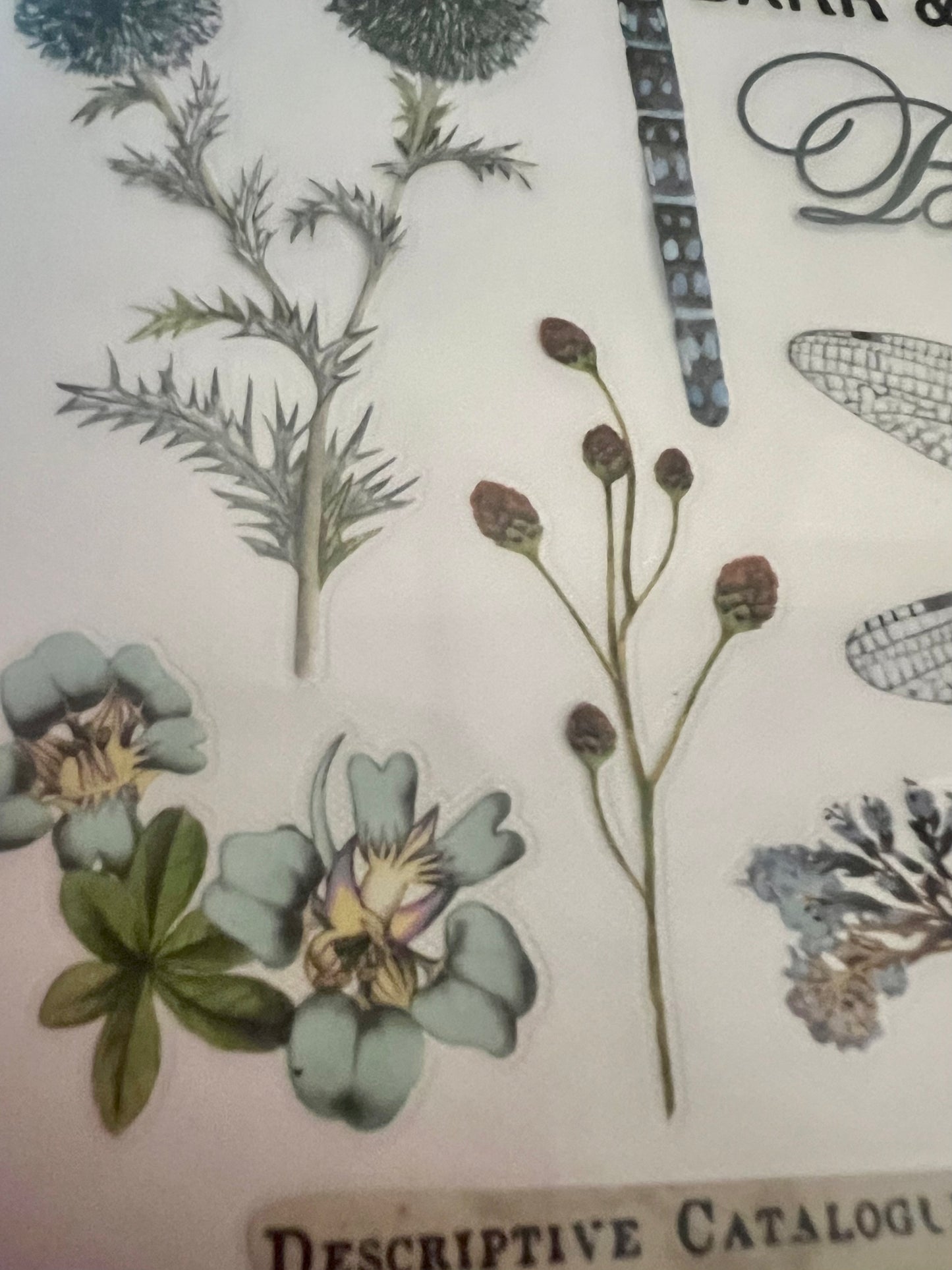 Redesign Decor transfer-Spring Dragonfly-Small 3 sheets