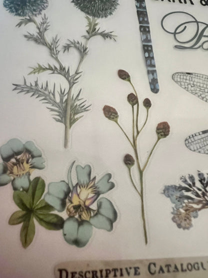 Redesign Decor transfer-Spring Dragonfly-Small 3 sheets