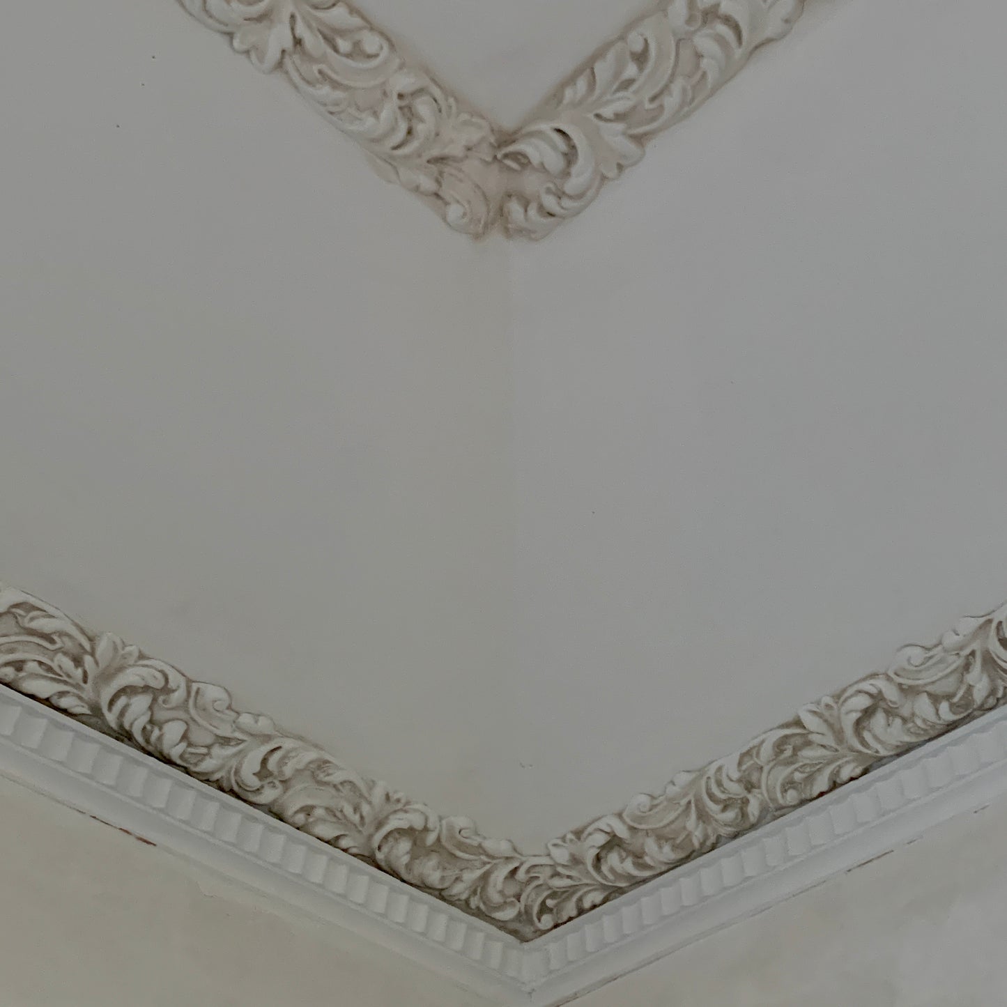 Efex Large and Beautiful Trim T31
