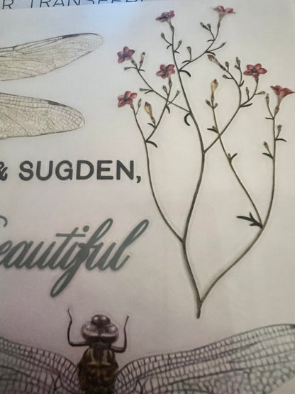 Redesign Decor transfer-Spring Dragonfly-Small 3 sheets