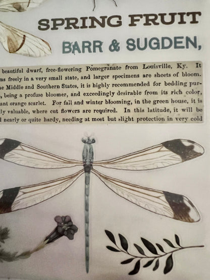 Redesign Decor transfer-Spring Dragonfly-Small 3 sheets