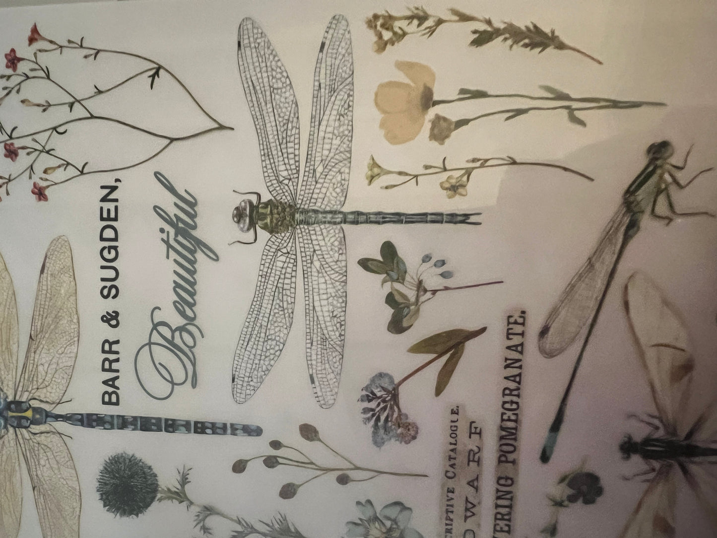 Redesign Decor transfer-Spring Dragonfly-Small 3 sheets