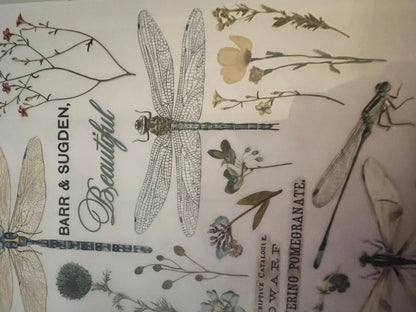 Redesign Decor transfer-Spring Dragonfly-Small 3 sheets