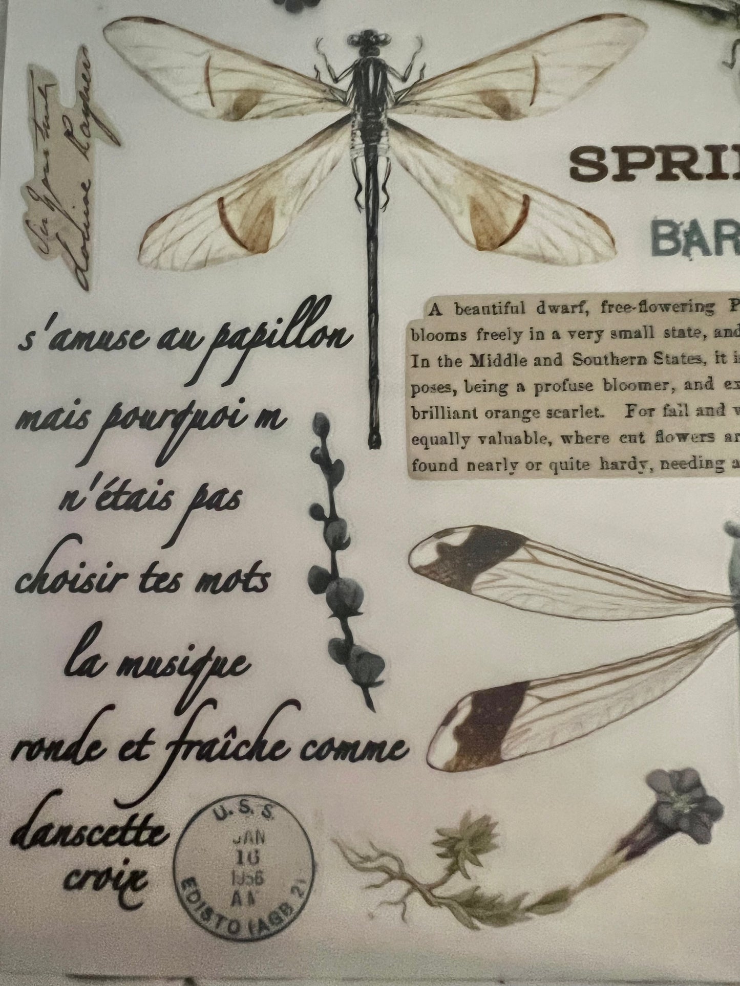 Redesign Decor transfer-Spring Dragonfly-Small 3 sheets