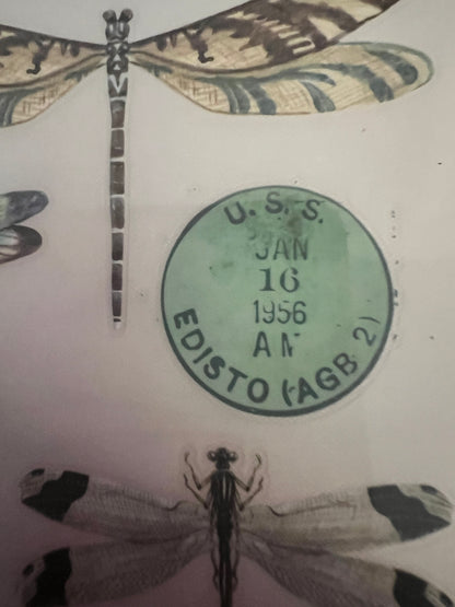 Redesign Decor transfer-Spring Dragonfly-Small 3 sheets