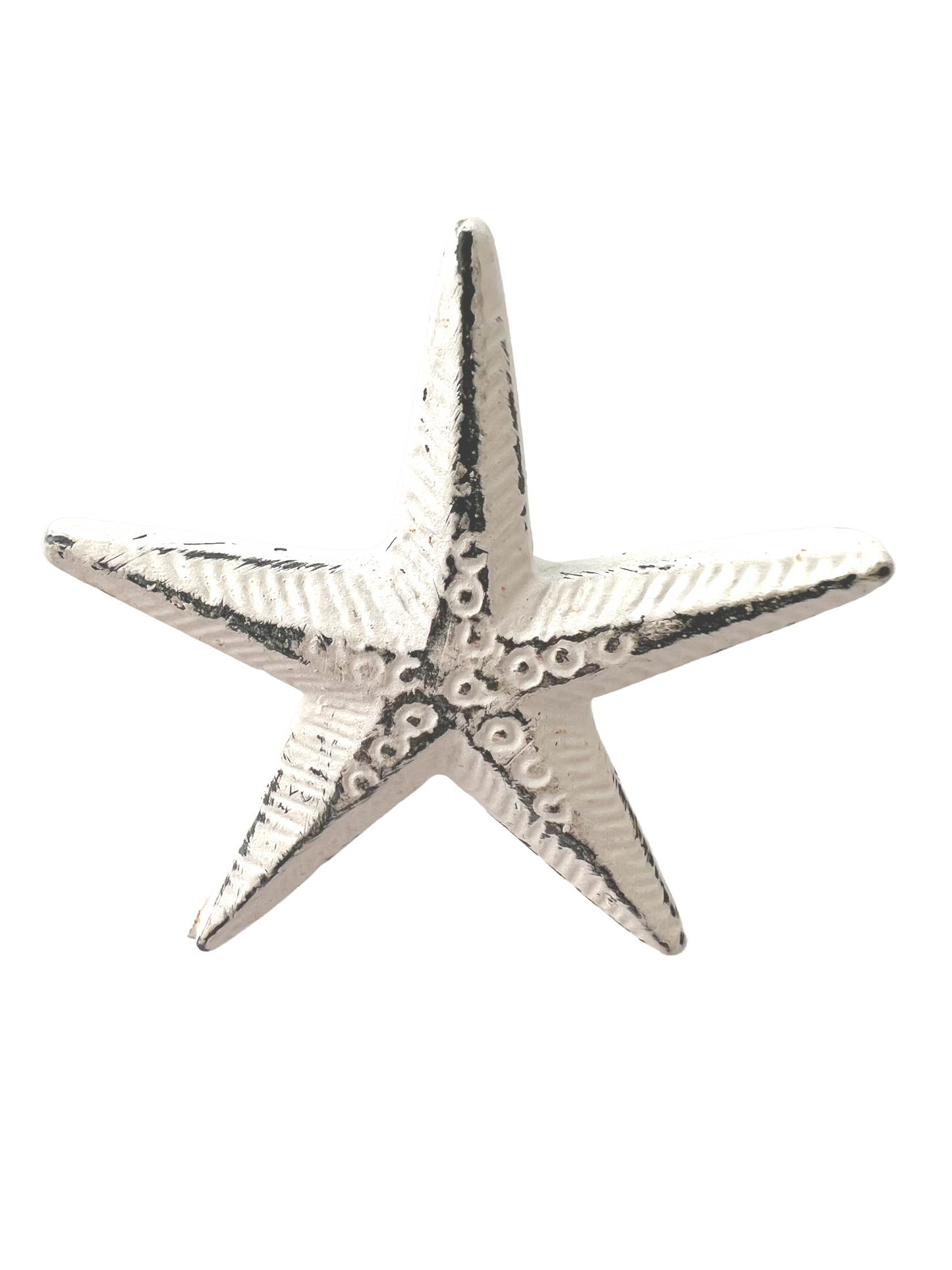 Knob-Starfish