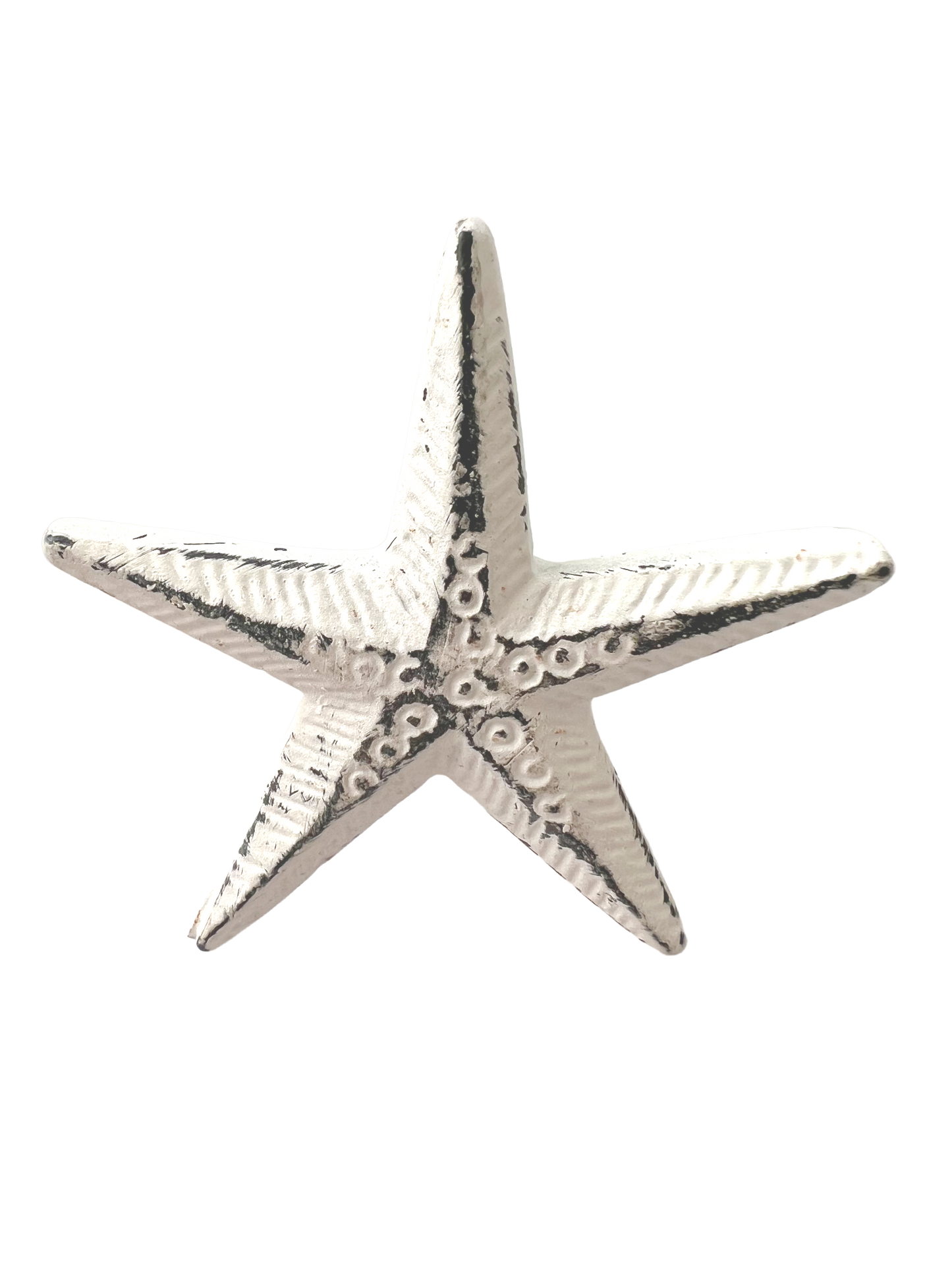 Knob-White Starfish-Special!
