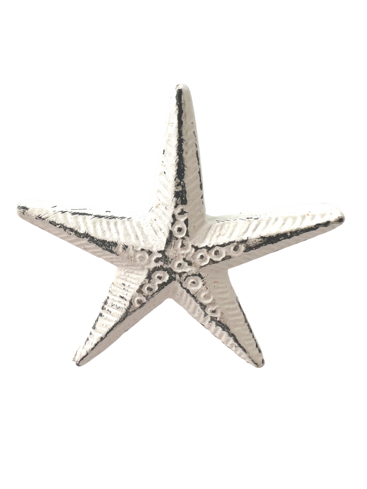 Knob-White Starfish-Special!